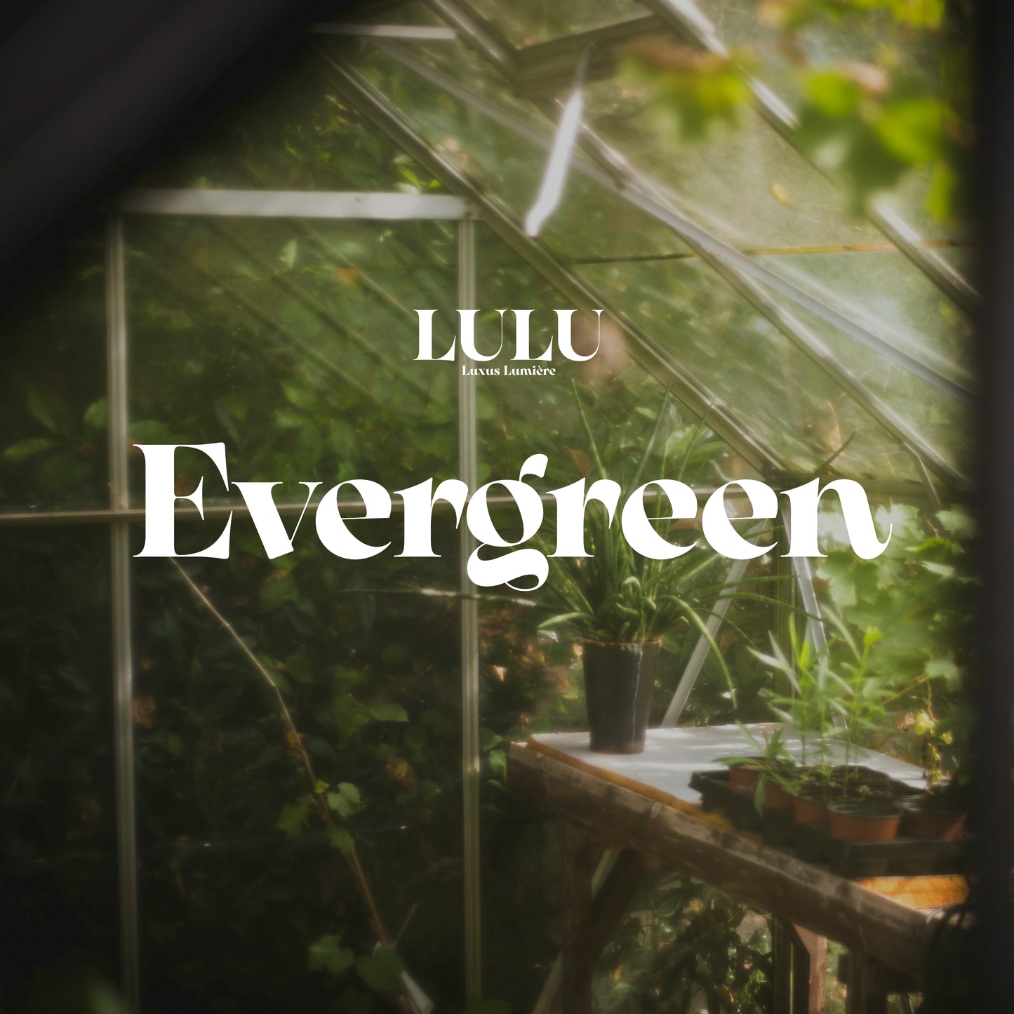 EVERGREEN