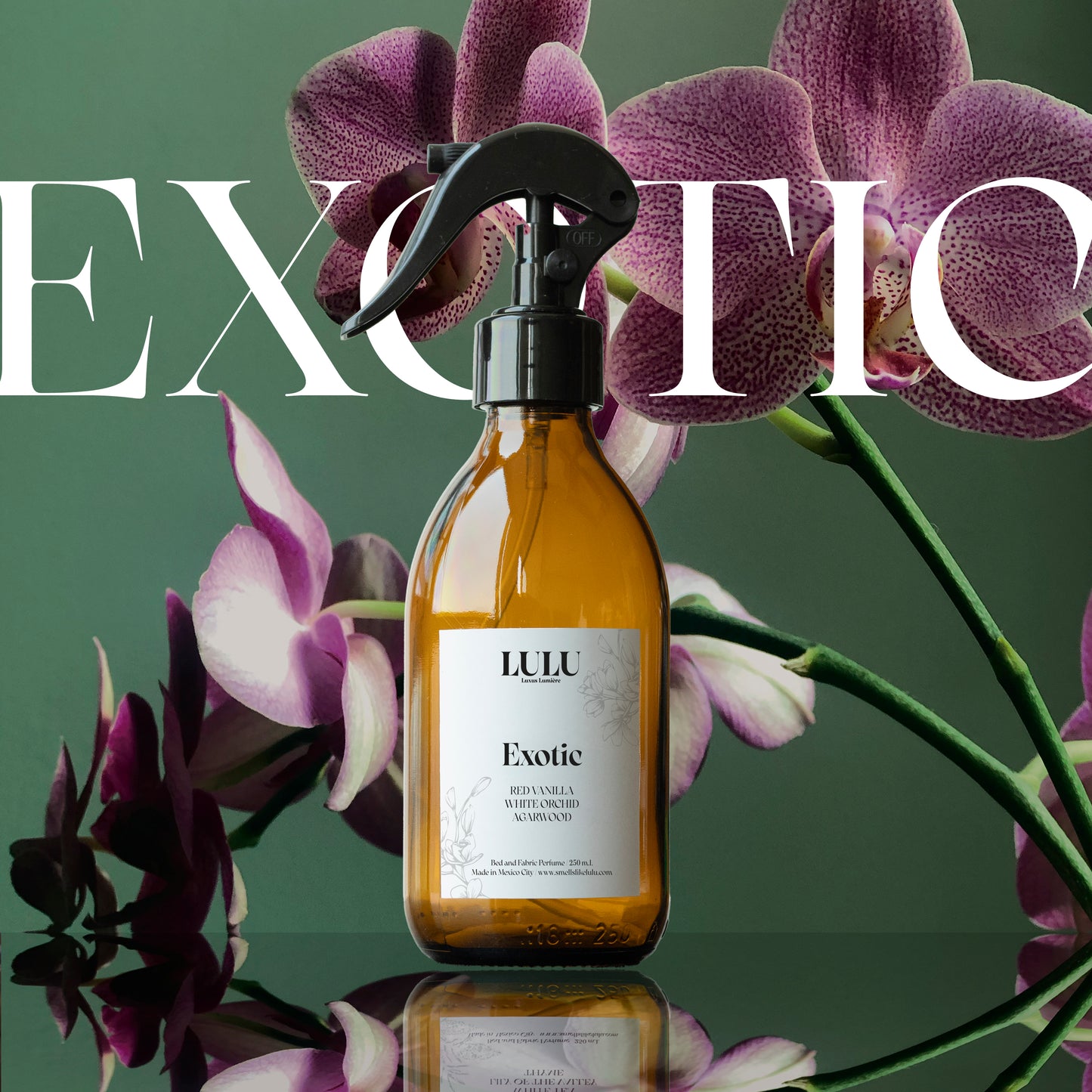 EXOTIC