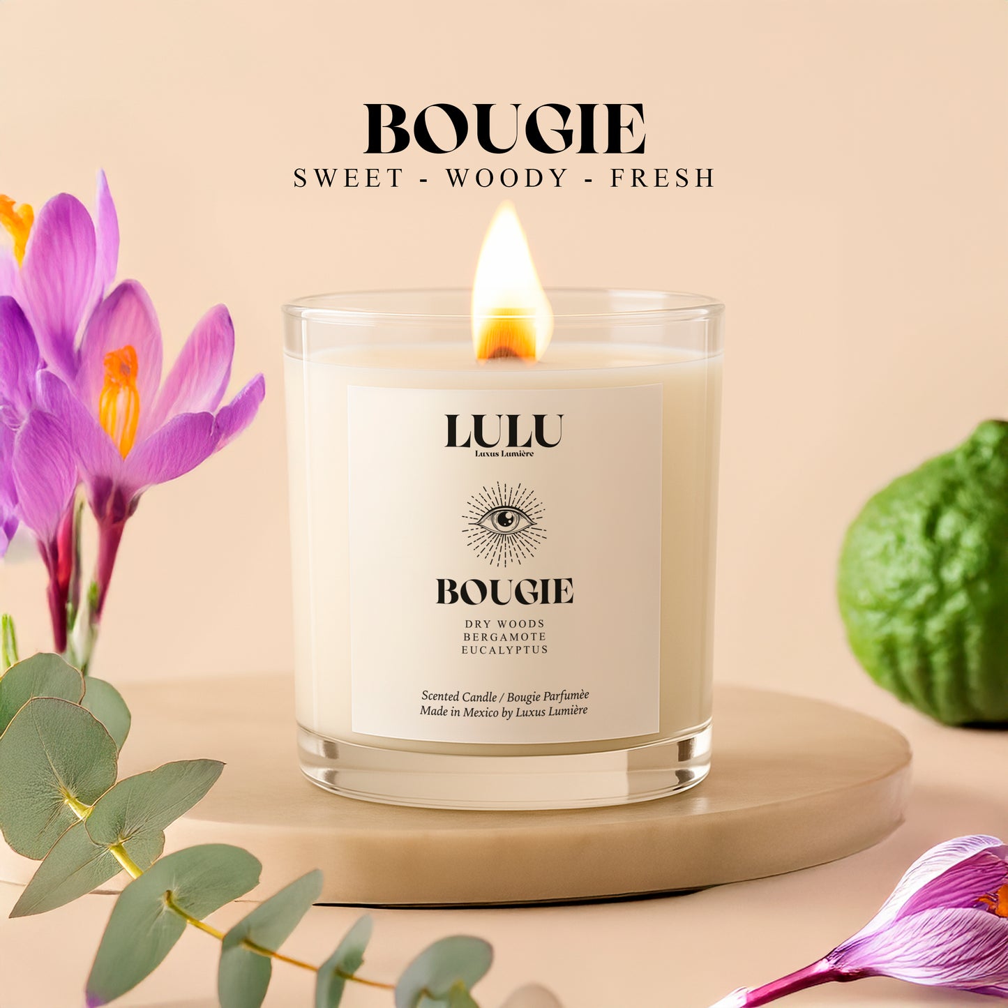 BOUGIE (VELA)