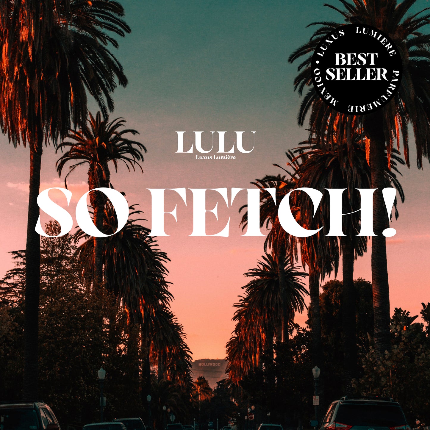 SO FETCH! (VELA)
