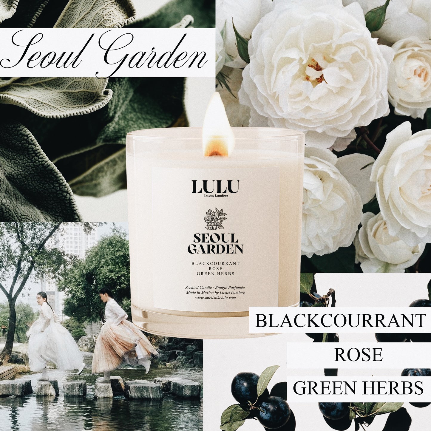 SEOUL GARDEN (VELA)