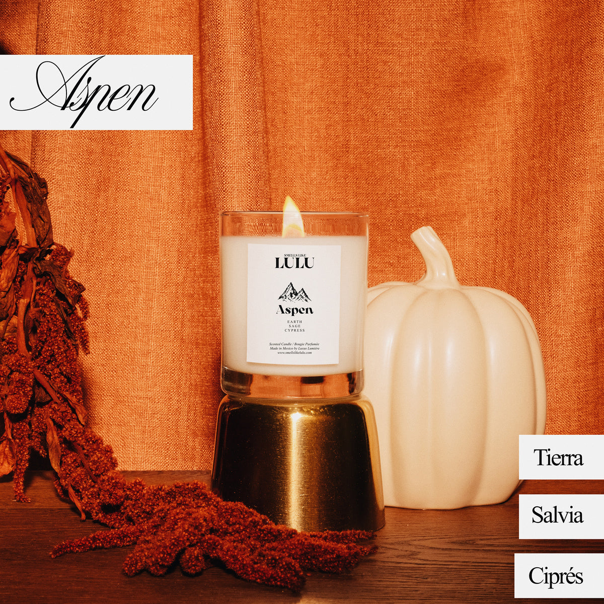ASPEN VELA (NUEVO)