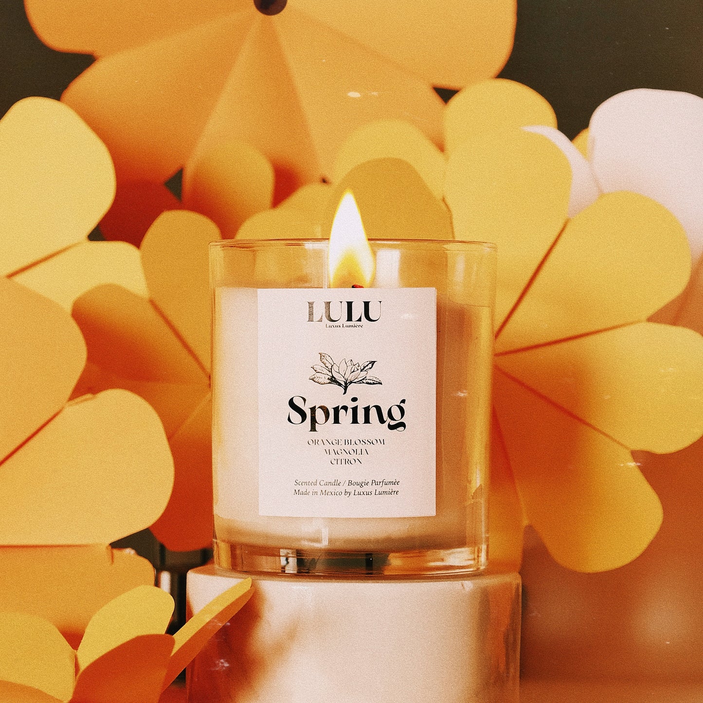 SPRING (VELA)