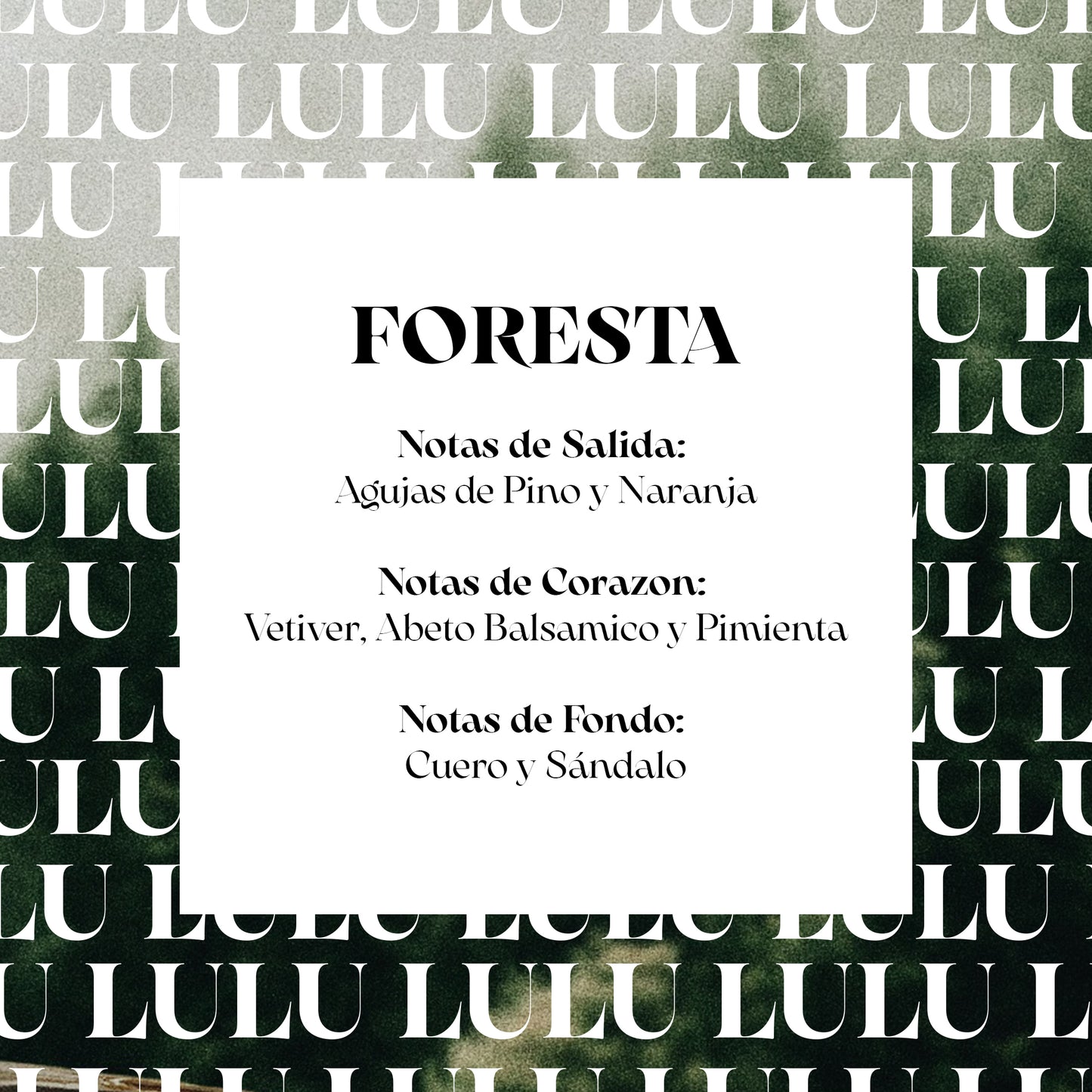 FORESTA
