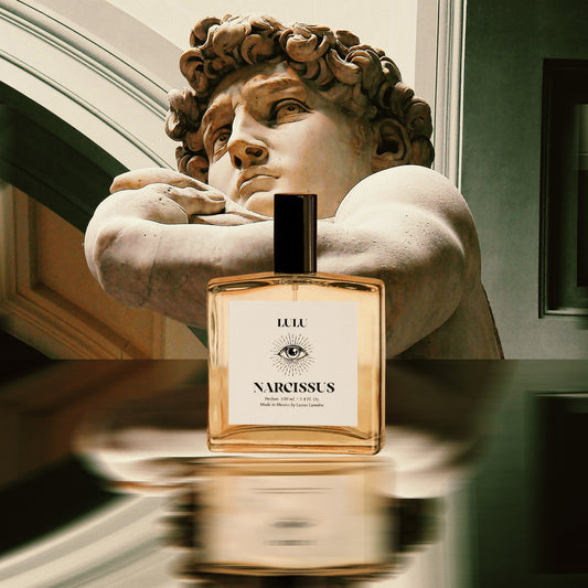 NARCISSUS