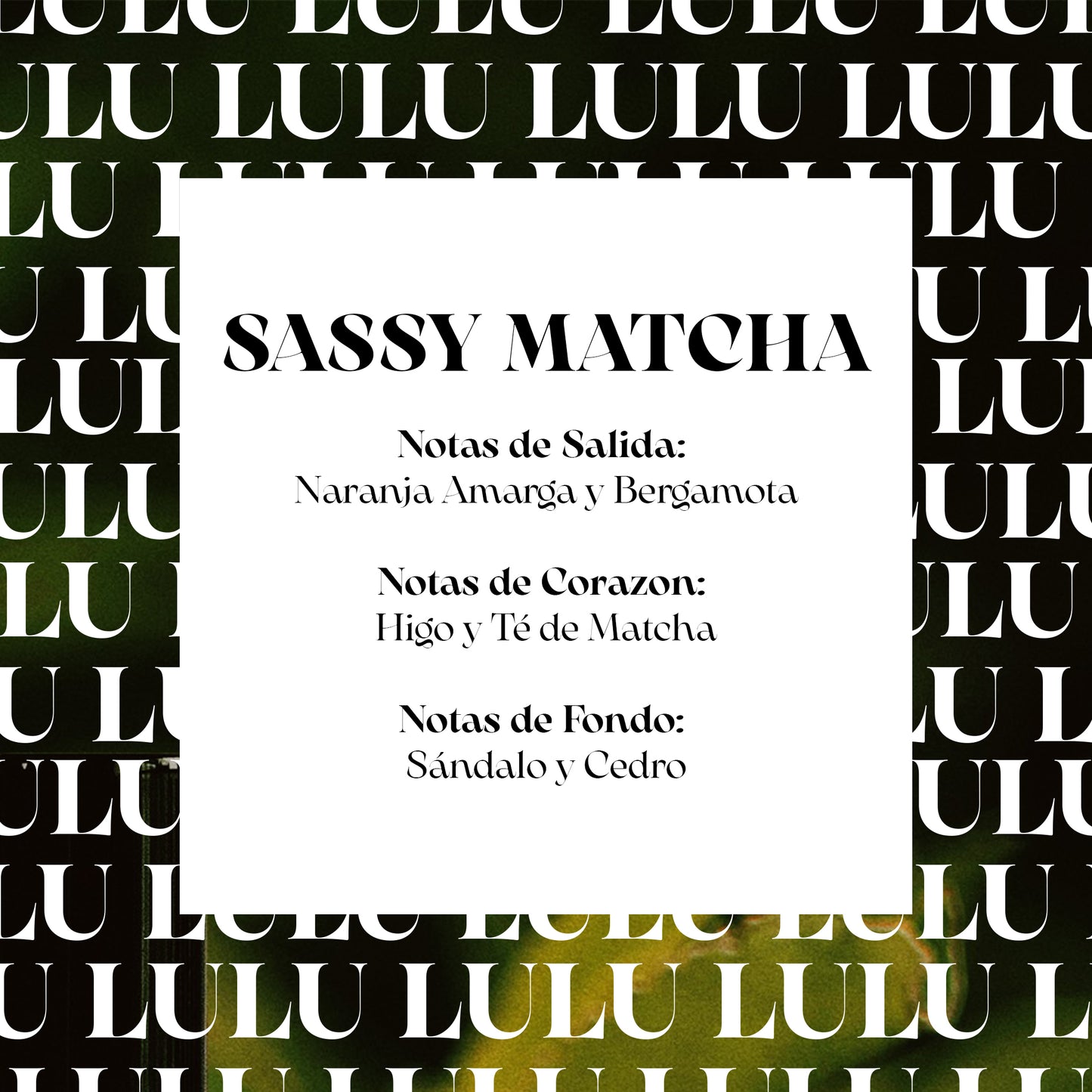 SASSY MATCHA (PARFUM)