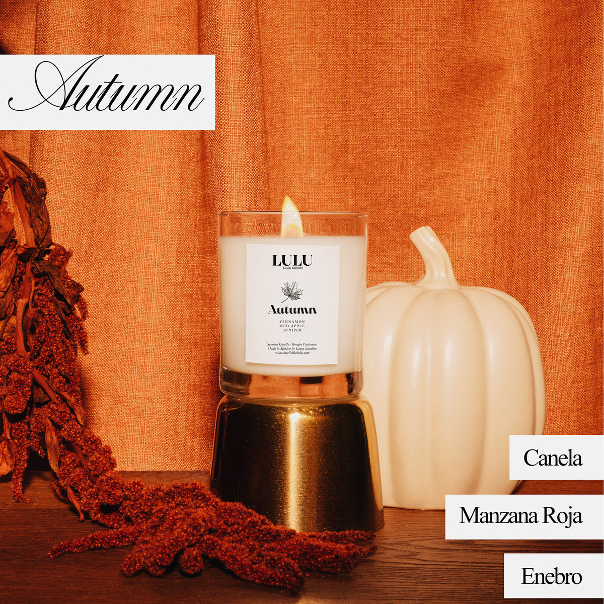 AUTUMN (VELA)