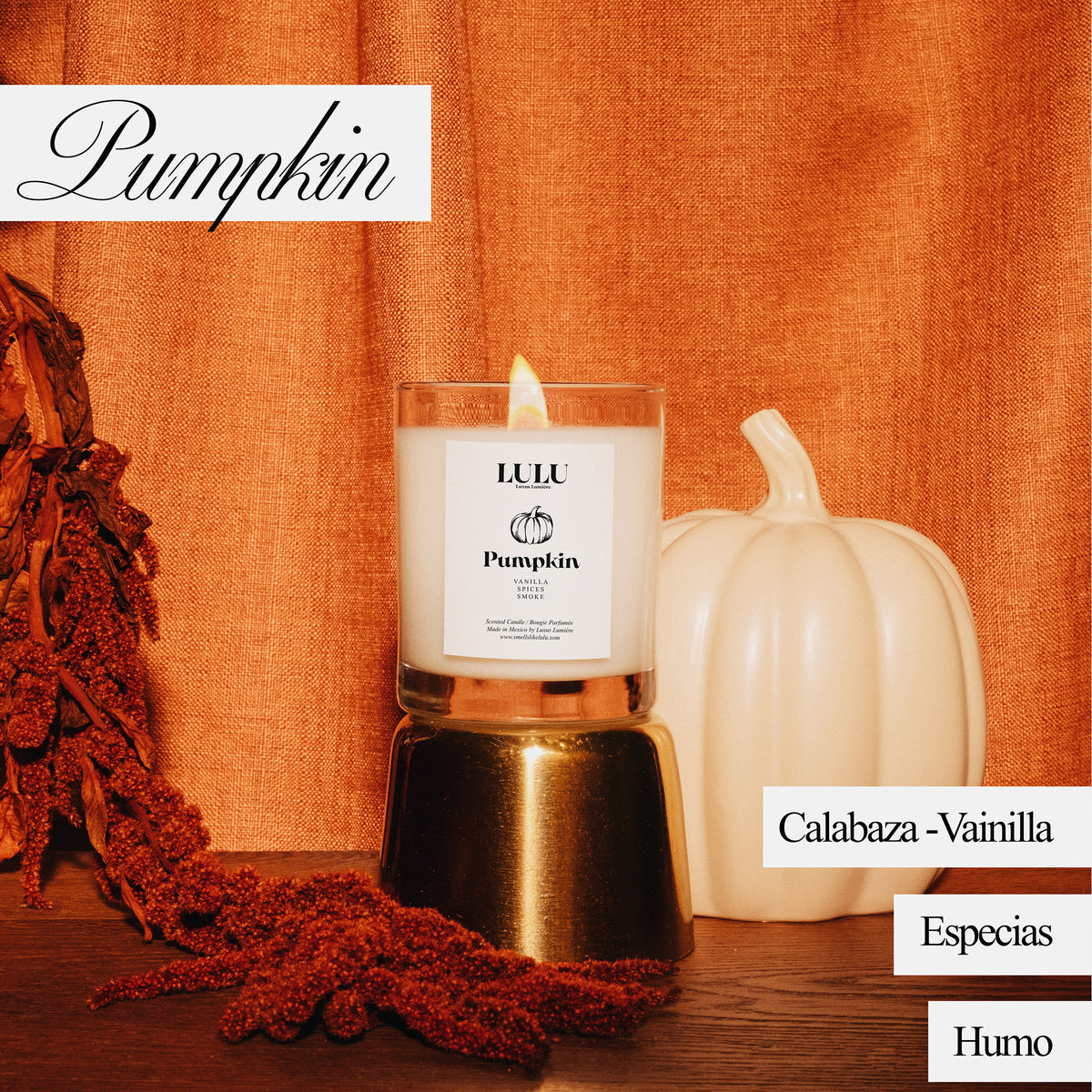 PUMPKIN (VELA)