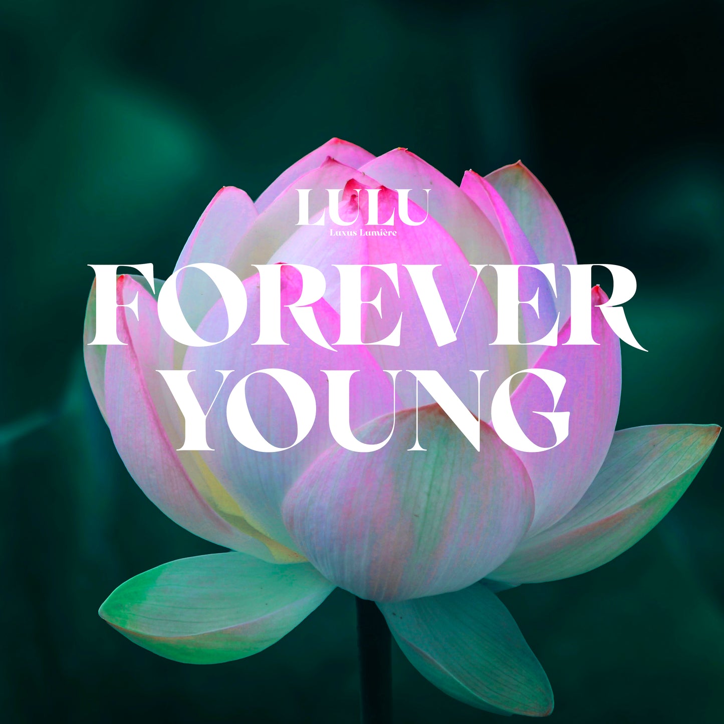 FOREVER YOUNG (ACEITE PARA DIFUSOR)